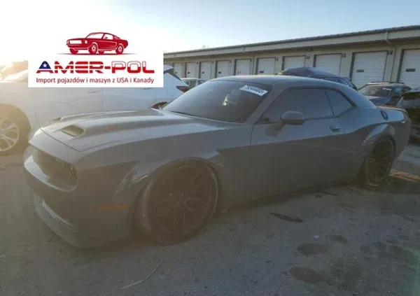 samochody osobowe Dodge Challenger cena 219000 przebieg: 41508, rok produkcji 2019 z Koluszki